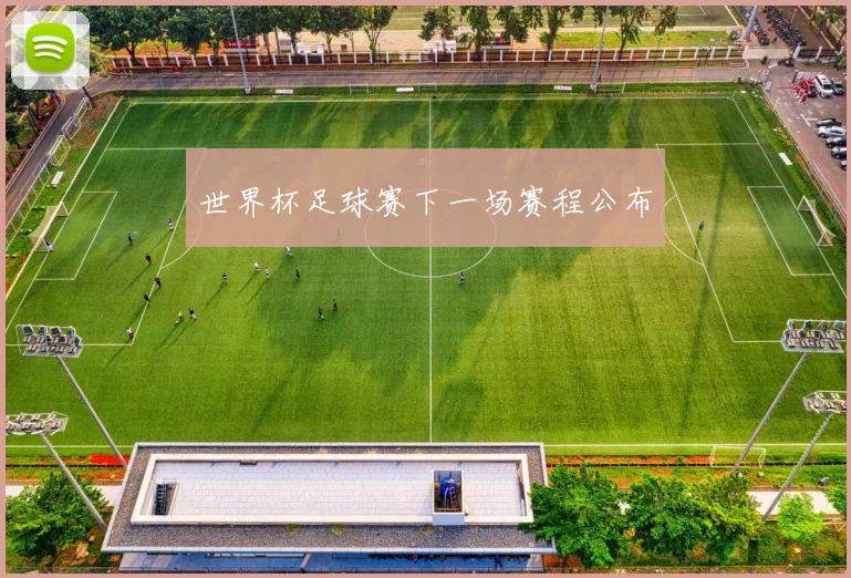世界杯足球赛下一场赛程公布