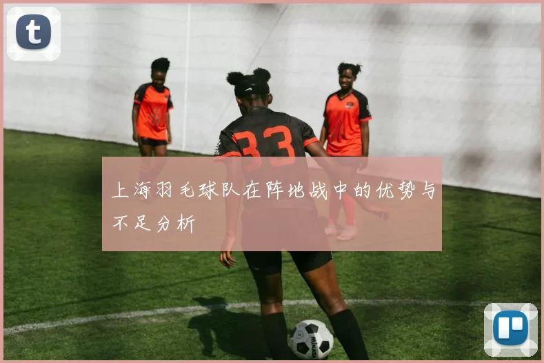 上海羽毛球队在阵地战中的优势与不足分析