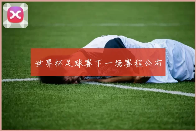 世界杯足球赛下一场赛程公布