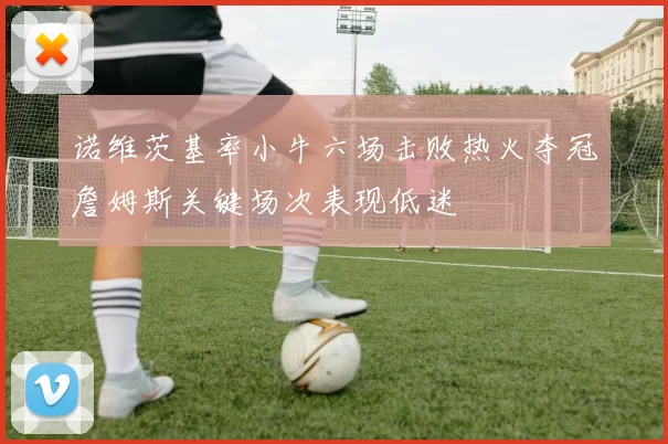 诺维茨基率小牛六场击败热火夺冠詹姆斯关键场次表现低迷