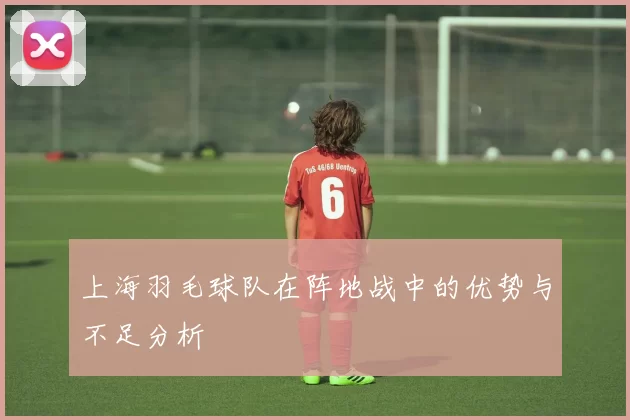 上海羽毛球队在阵地战中的优势与不足分析