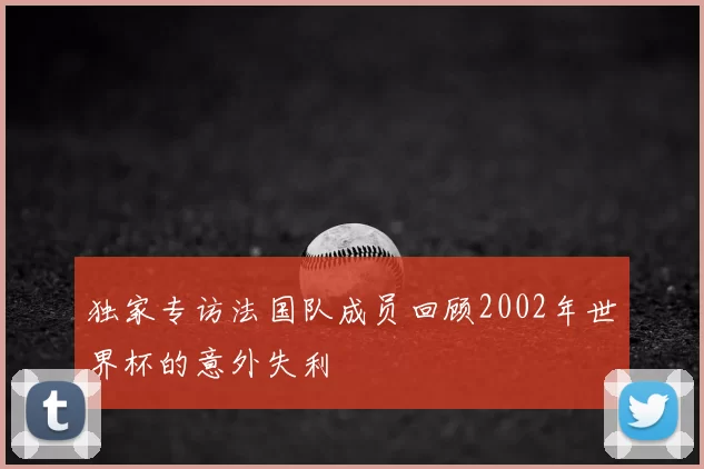 独家专访法国队成员回顾2002年世界杯的意外失利