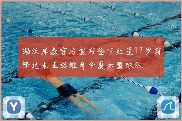 勒沃库森官方宣布签下红星17岁前锋达米亚诺维奇今夏加盟球队