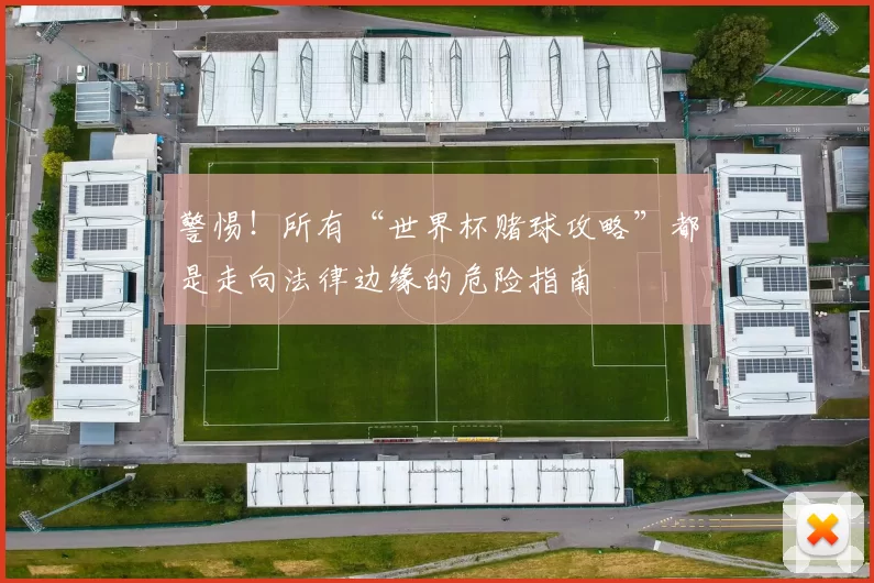 警惕!所有“世界杯赌球攻略”都是走向法律边缘的危险指南