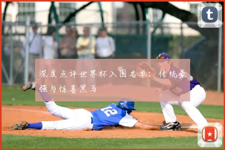 深度点评世界杯入围名单：传统豪强与惊喜黑马