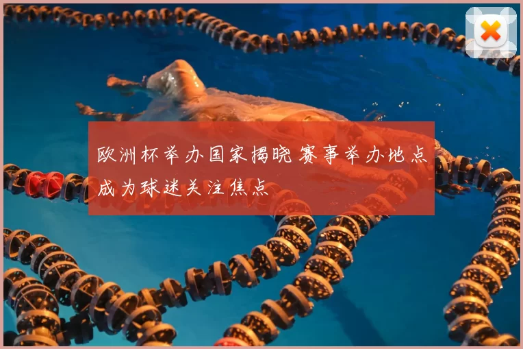 欧洲杯举办国家揭晓 赛事举办地点成为球迷关注焦点