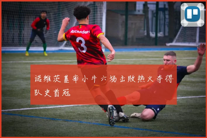 诺维茨基率小牛六场击败热火夺得队史首冠