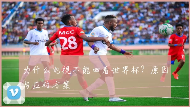 为什么电视不能回看世界杯？原因与应对方案