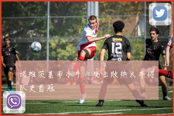 诺维茨基率小牛六场击败热火夺得队史首冠
