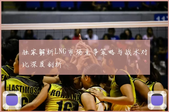独家解析LNG市场竞争策略与战术对比深度剖析
