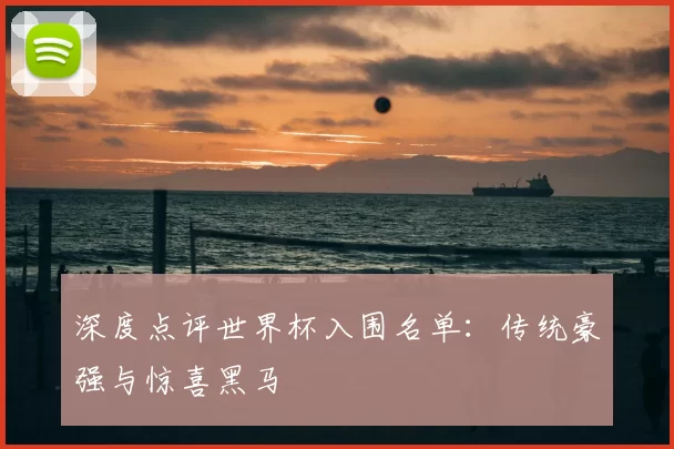 深度点评世界杯入围名单：传统豪强与惊喜黑马