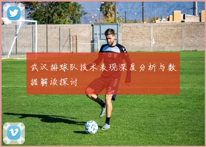 武汉排球队技术表现深度分析与数据解读探讨