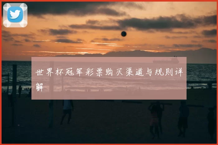 世界杯冠军彩票购买渠道与规则详解