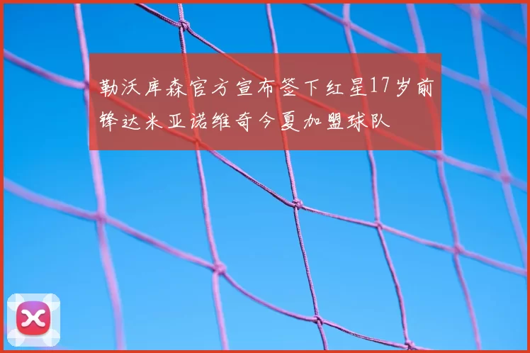 勒沃库森官方宣布签下红星17岁前锋达米亚诺维奇今夏加盟球队