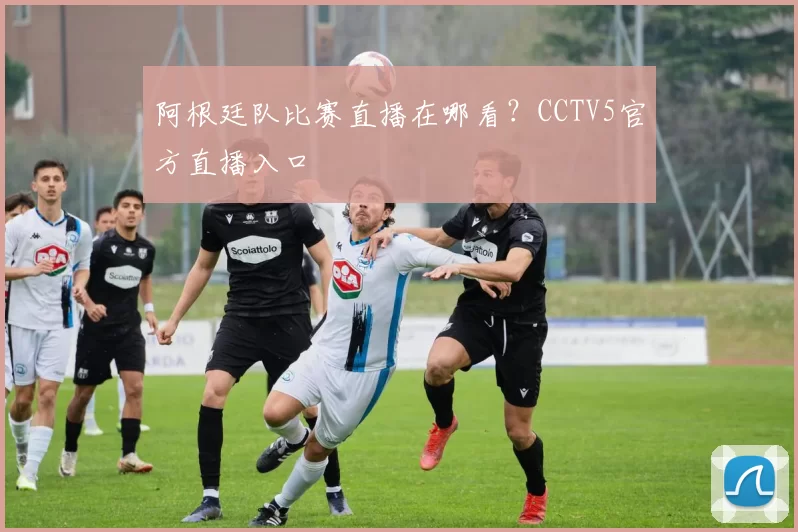 阿根廷队比赛直播在哪看？CCTV5官方直播入口