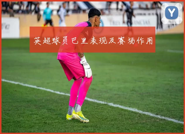 英超球员巴里表现及赛场作用