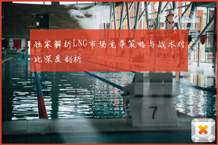 独家解析LNG市场竞争策略与战术对比深度剖析