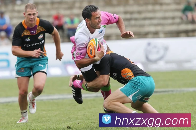 星空体育发展历程